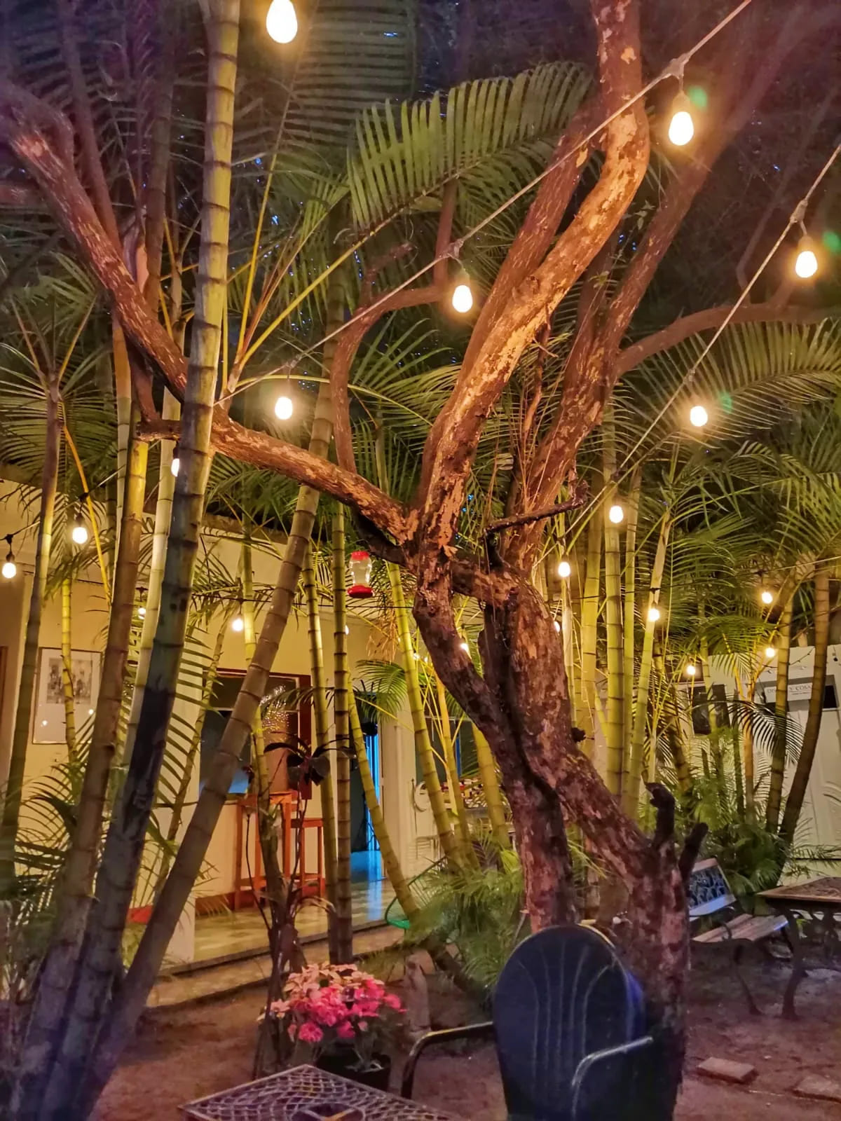 The courtyard